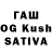 Amphetamine Premium Kish Bhatt