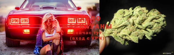 стафф Кинешма