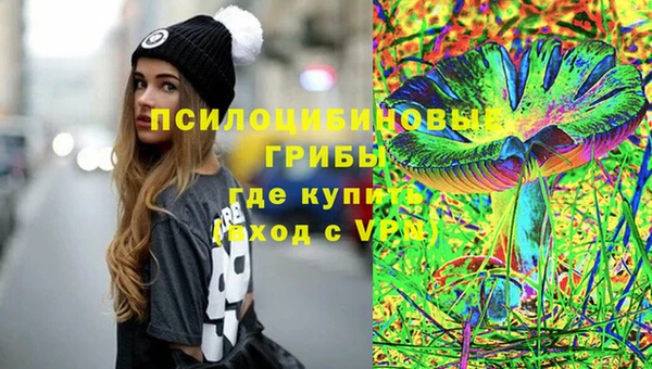 крисы Киренск