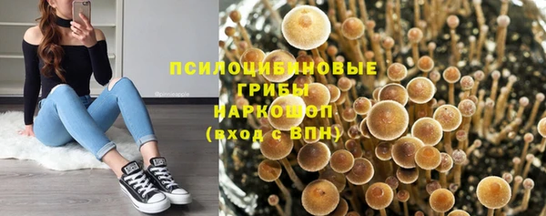 стафф Кинешма