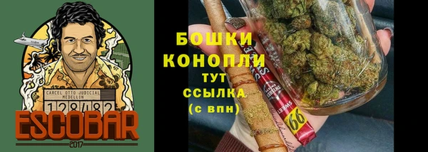 крисы Киренск