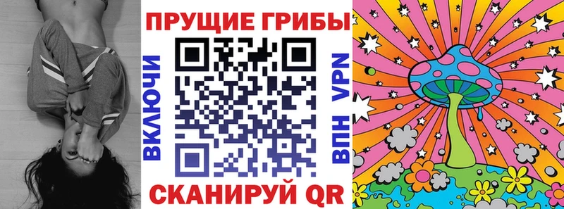 Галлюциногенные грибы мухоморы  где купить наркотик  Котлас 